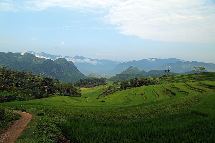 belles randonnées nord vietnam reserve naturelle pu luong rizieres